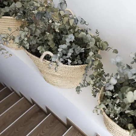 Le Petit Boutique (adults Only) 2* Santander