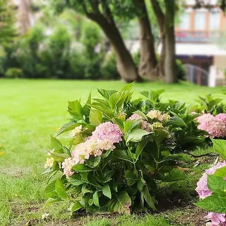 Le Petit Boutique Hotel