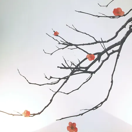 Le Petit Boutique Hotel 2*