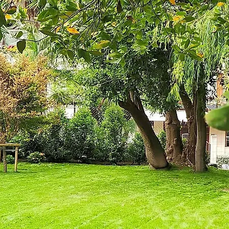 Le Petit Boutique (adults Only)