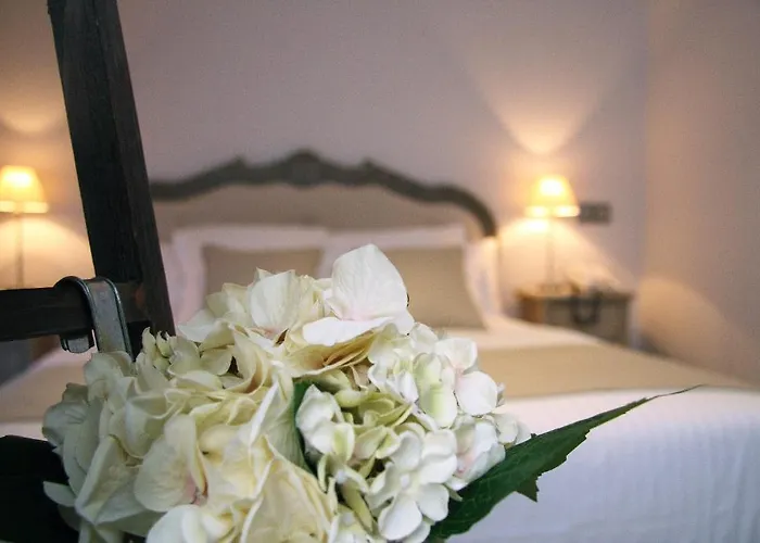 Le Petit Boutique (adults Only) מלון 2*