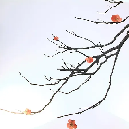 Hotel Le Petit Boutique (adults Only)