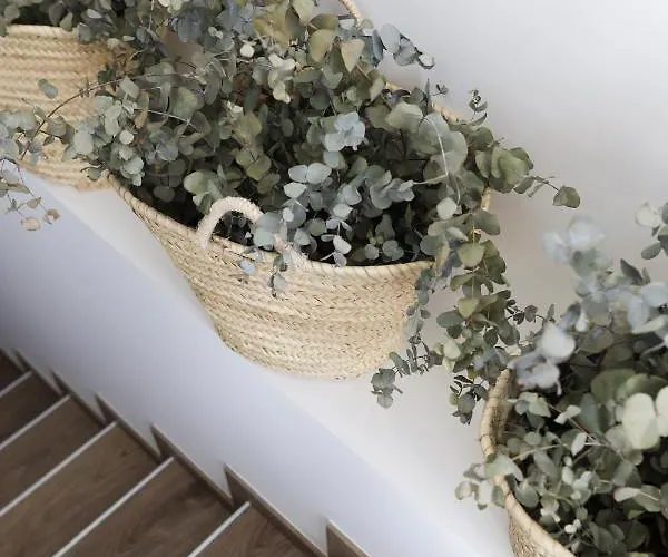 Le Petit Boutique (adults Only) 2* Santander