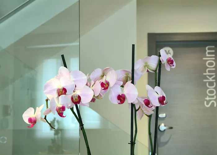 Hotel Le Petit Boutique (adults Only)